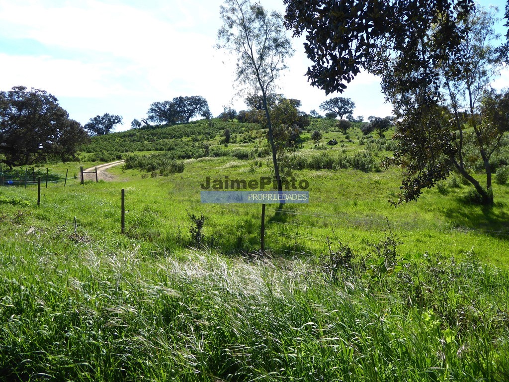 Agricultural land