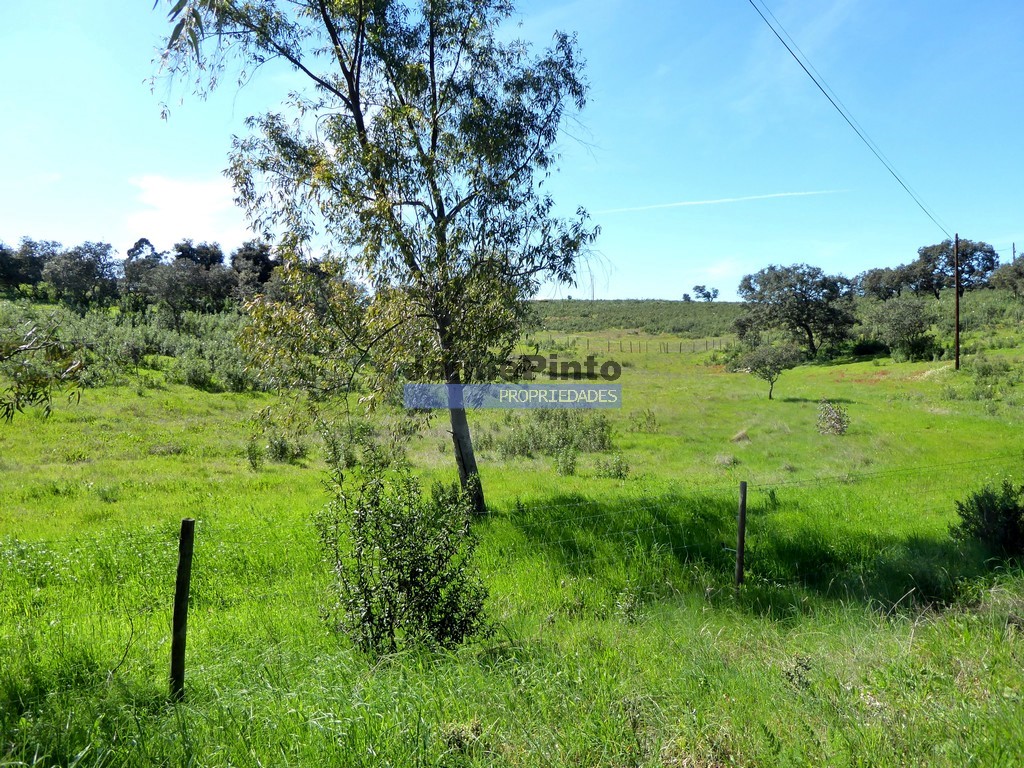 Agricultural land