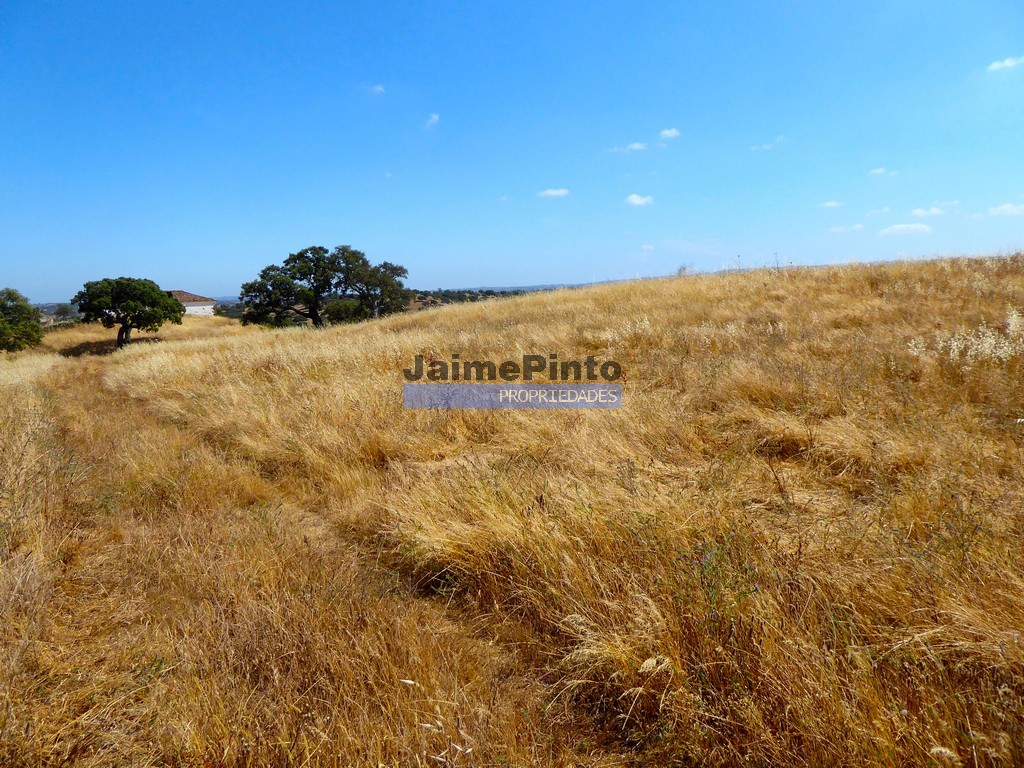 Agricultural land