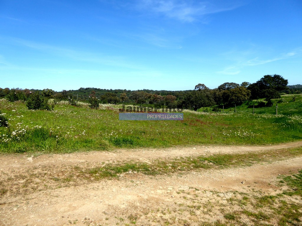 Agricultural land