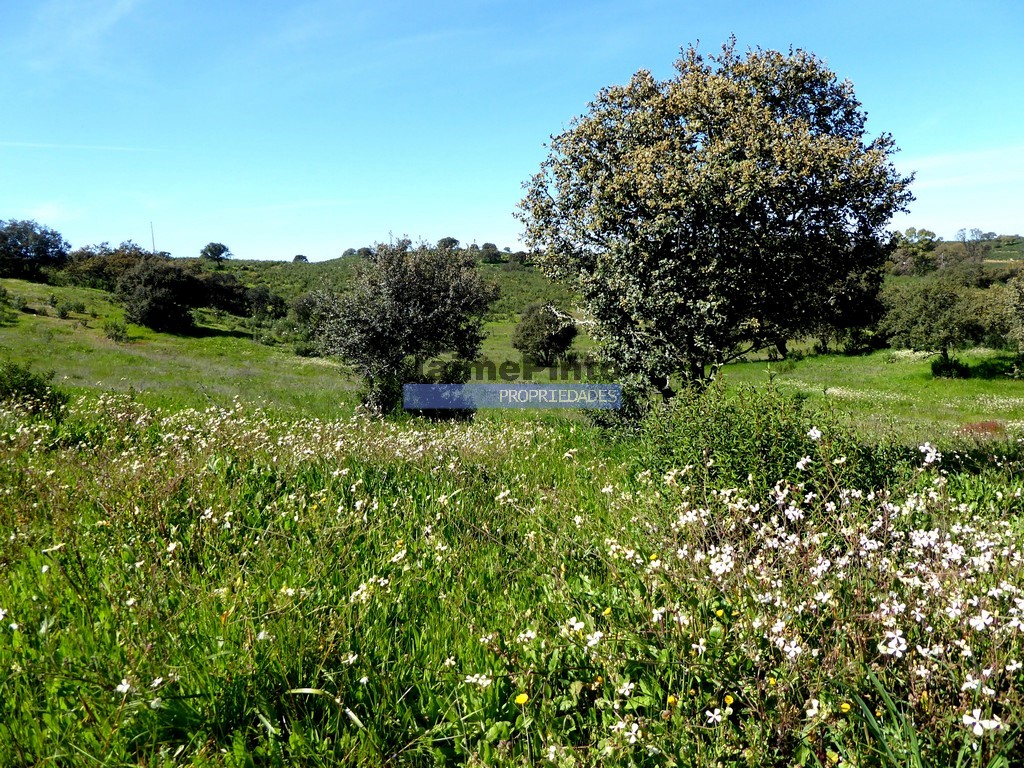 Agricultural land