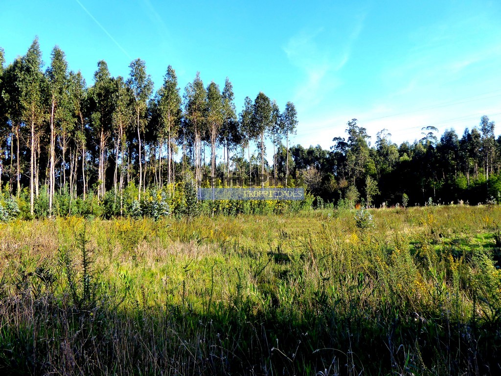 Industrial land