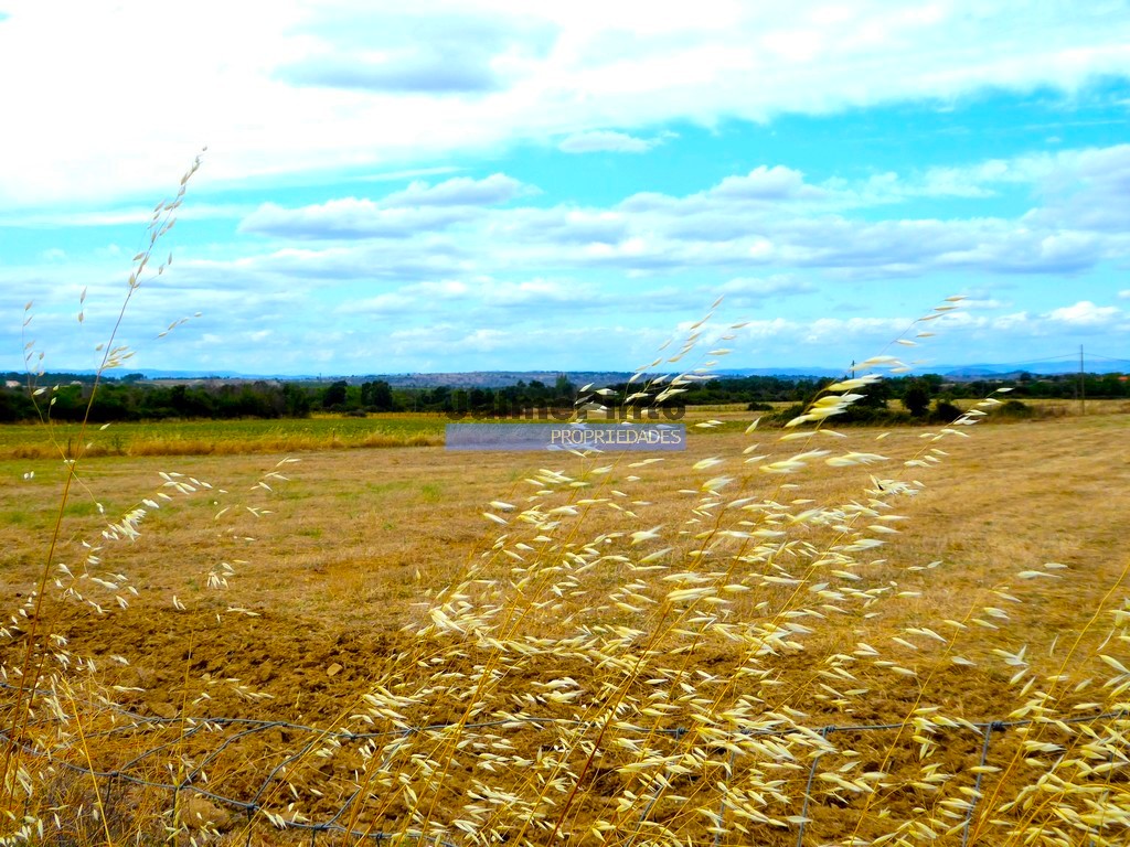 Agricultural land