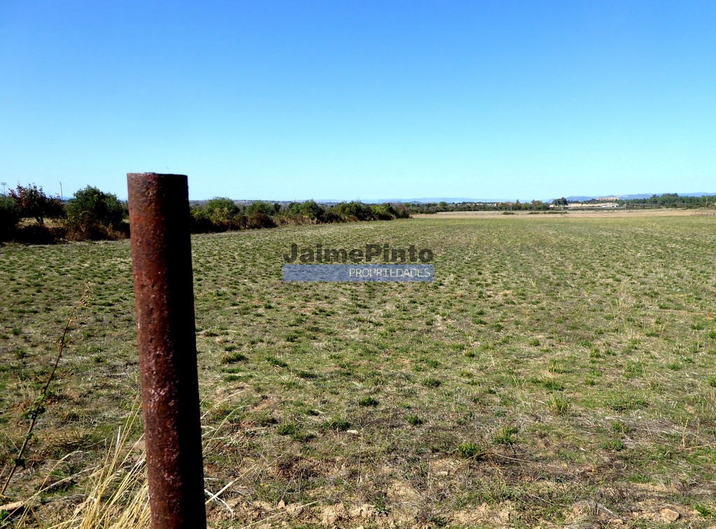 Agricultural land