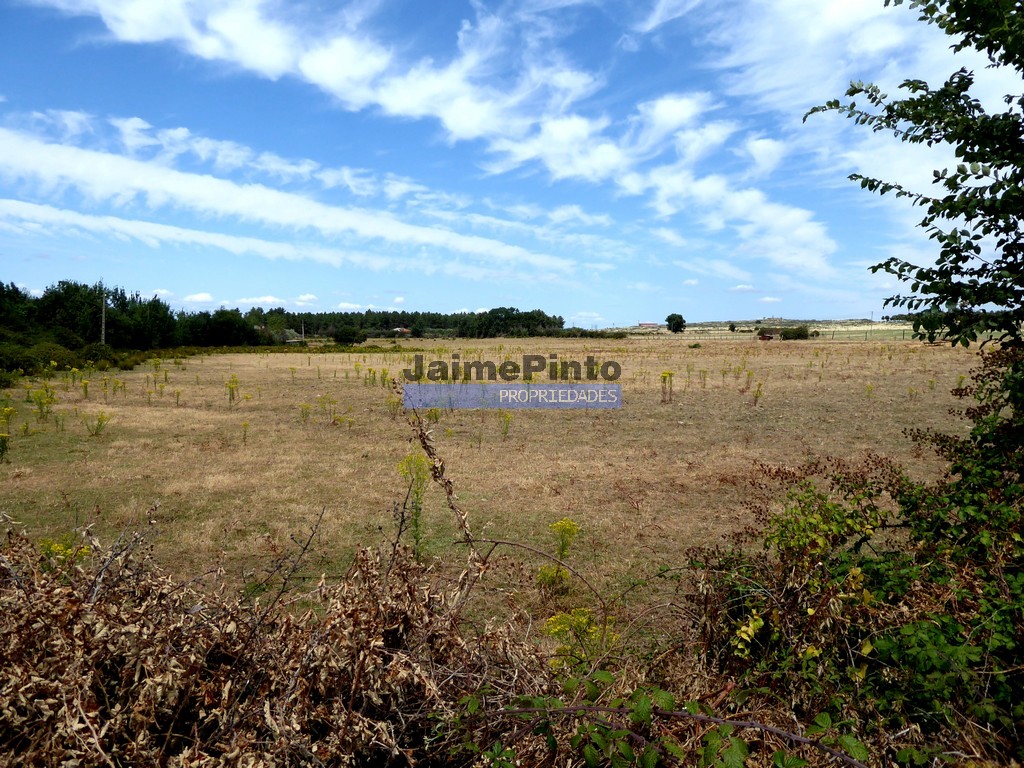 Agricultural land