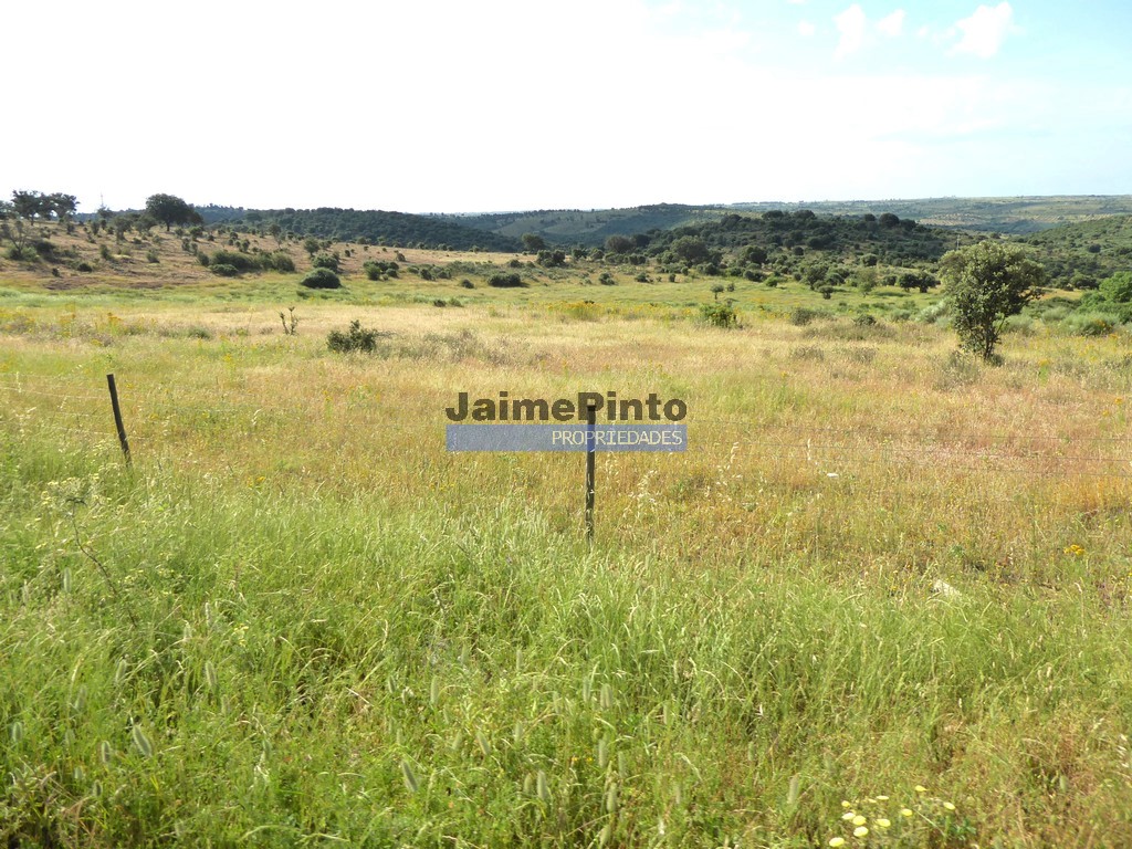 Agricultural land