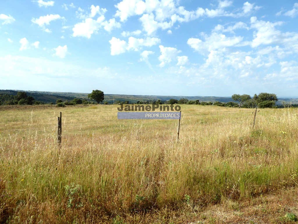 Agricultural land
