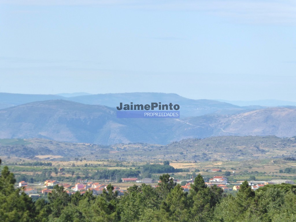 Agricultural land