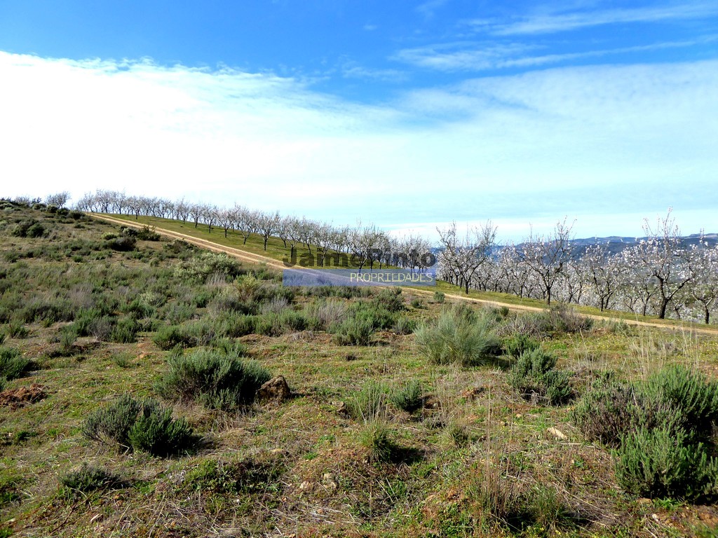 Agricultural land