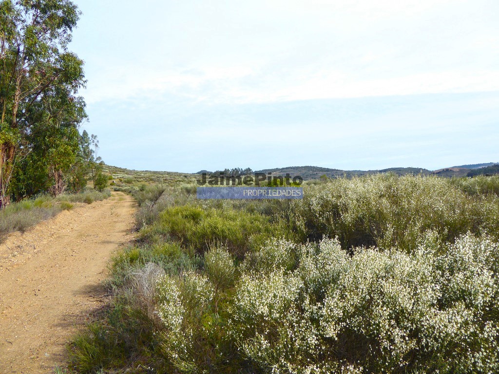 Agricultural land