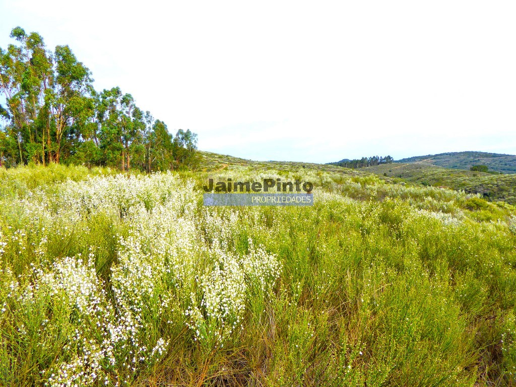Agricultural land