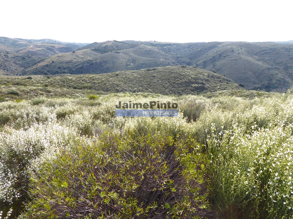 Agricultural land