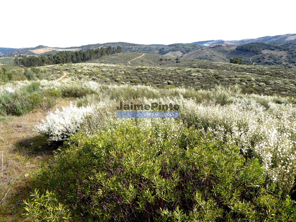 Agricultural land