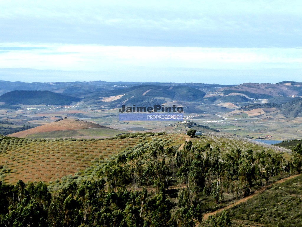 Agricultural land