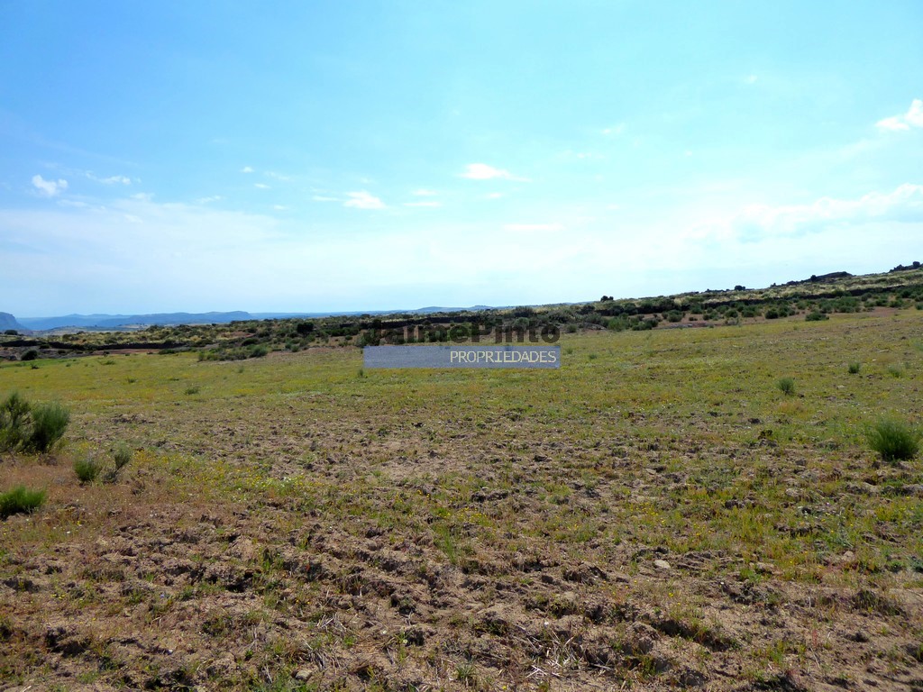 Urban / Agricultural land plot