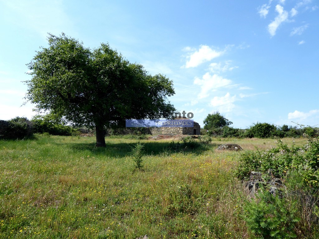 Urban / Agricultural land plot