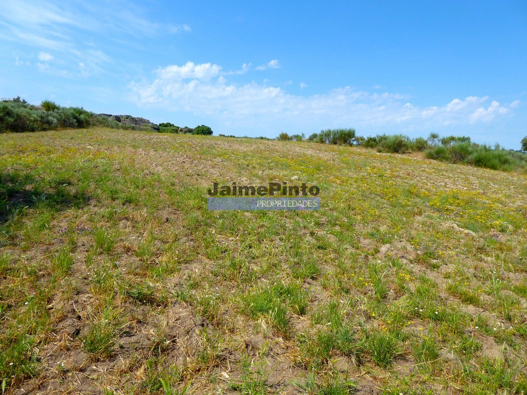 Agricultural land