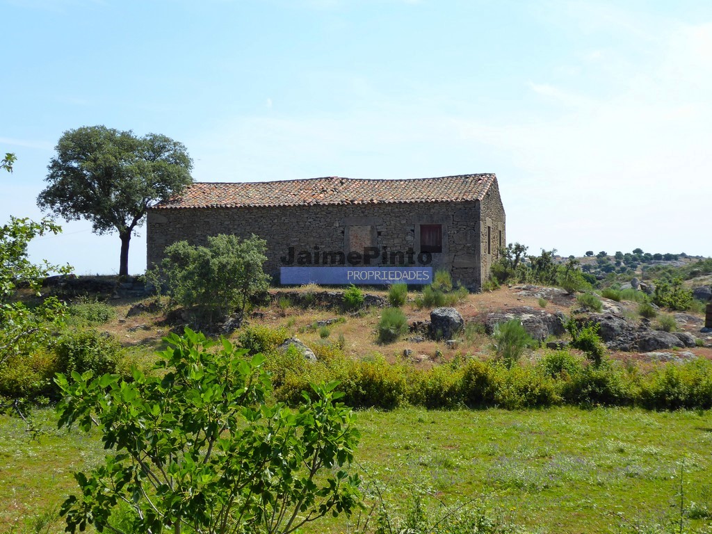 Agricultural land