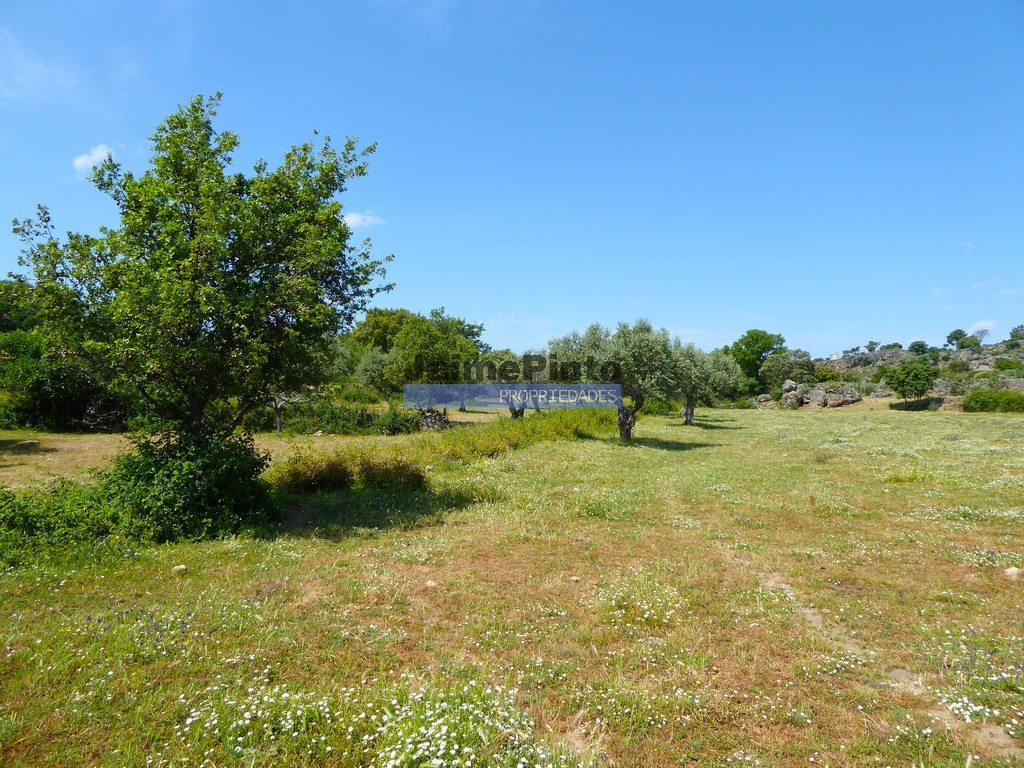 Agricultural land