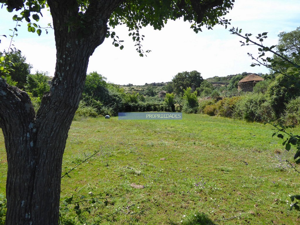 Agricultural land