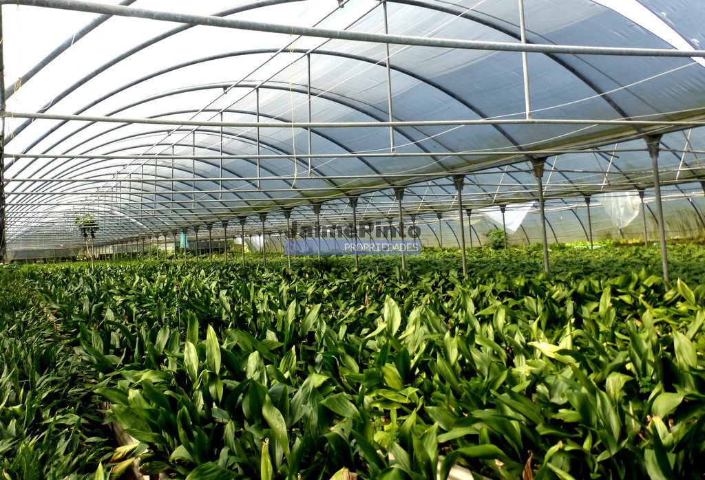 Farm