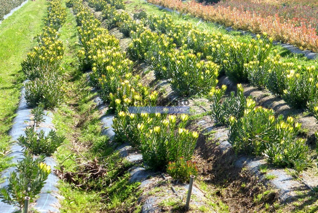 Farm