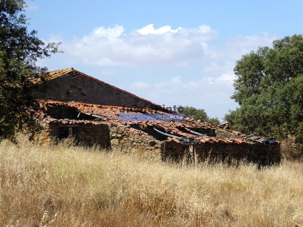 Agricultural land
