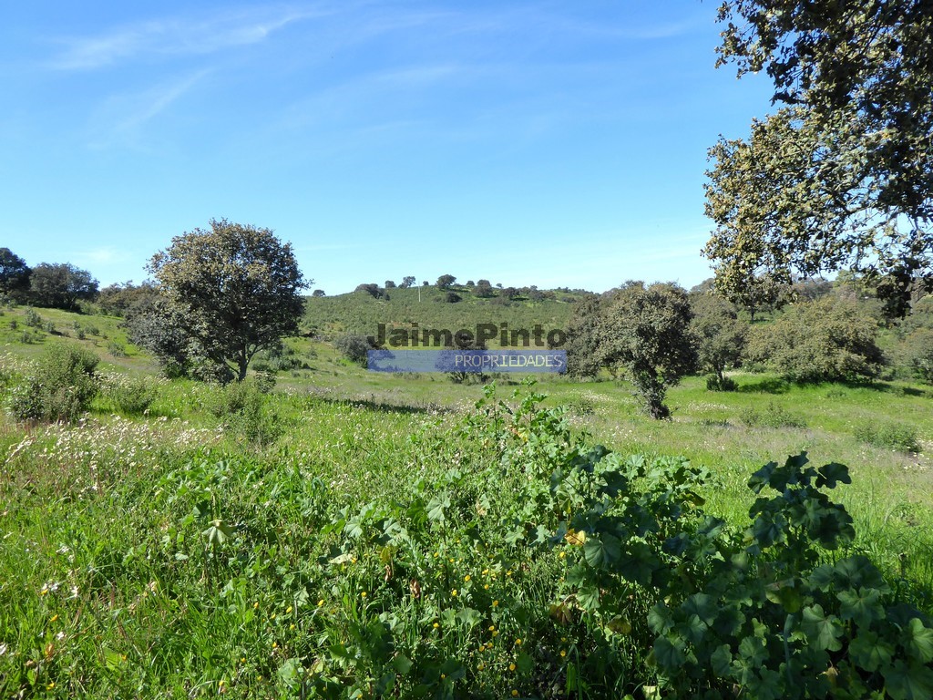 Agricultural land