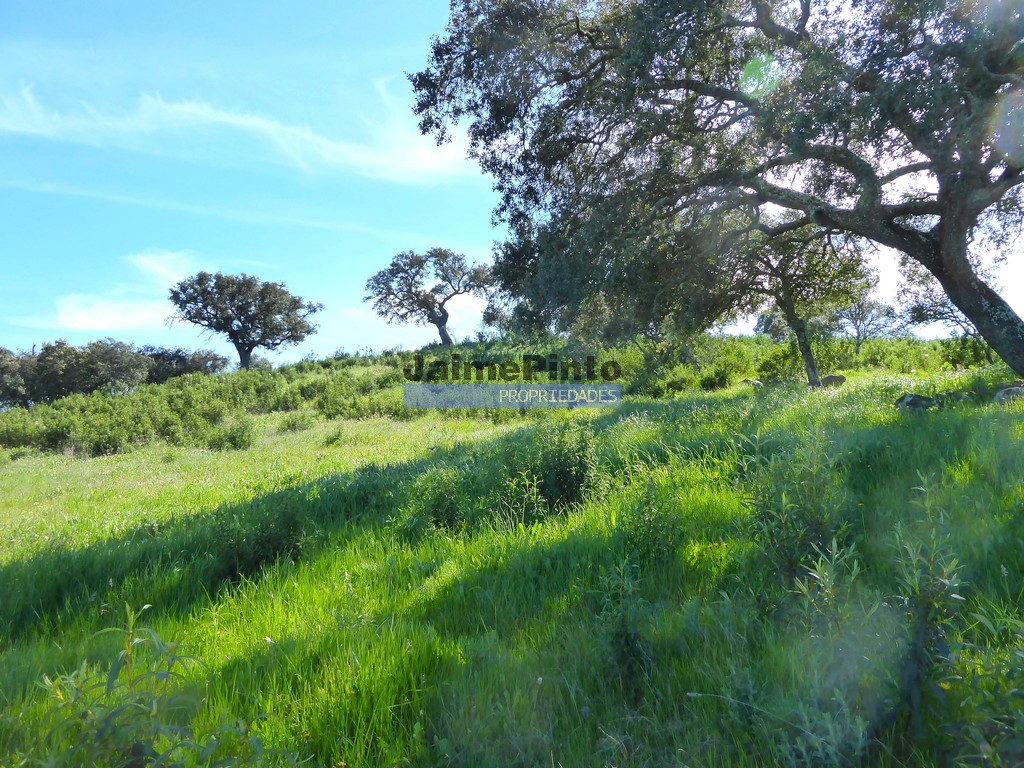 Agricultural land