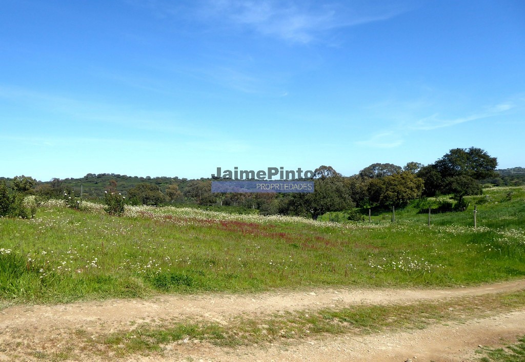 Agricultural land