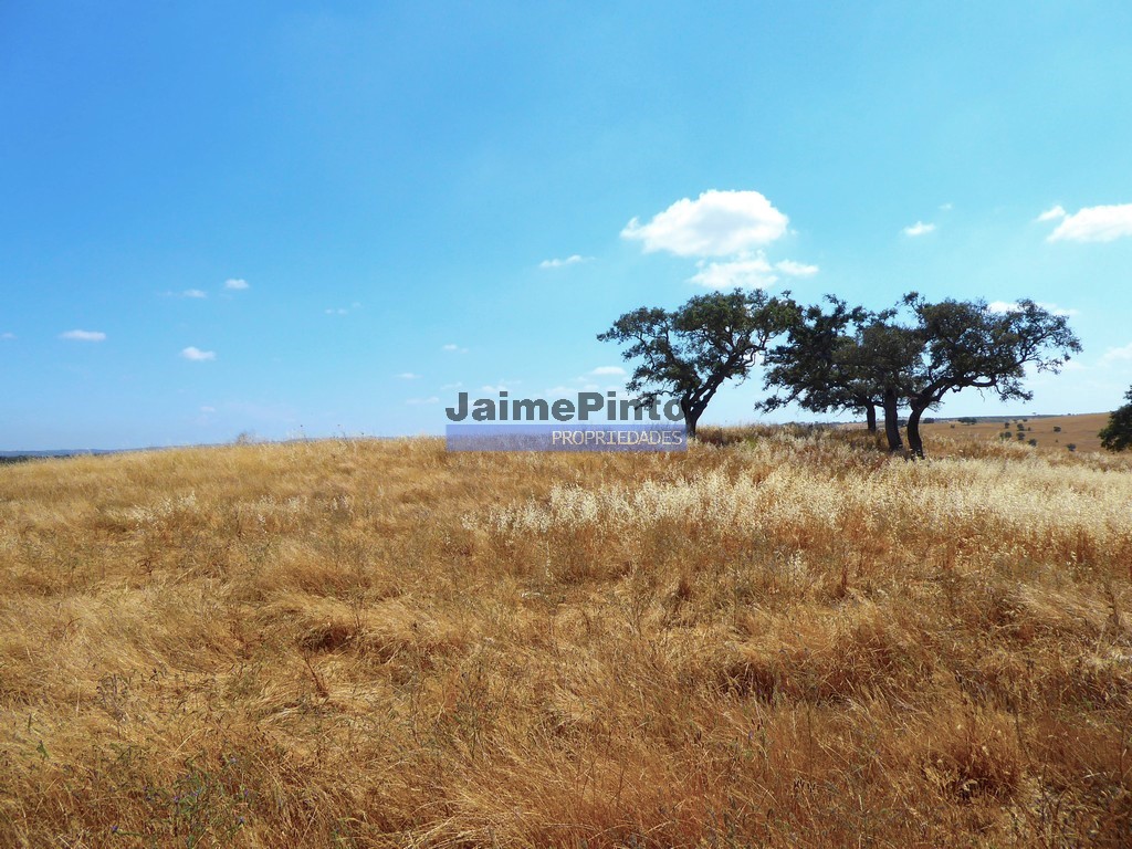 Agricultural land
