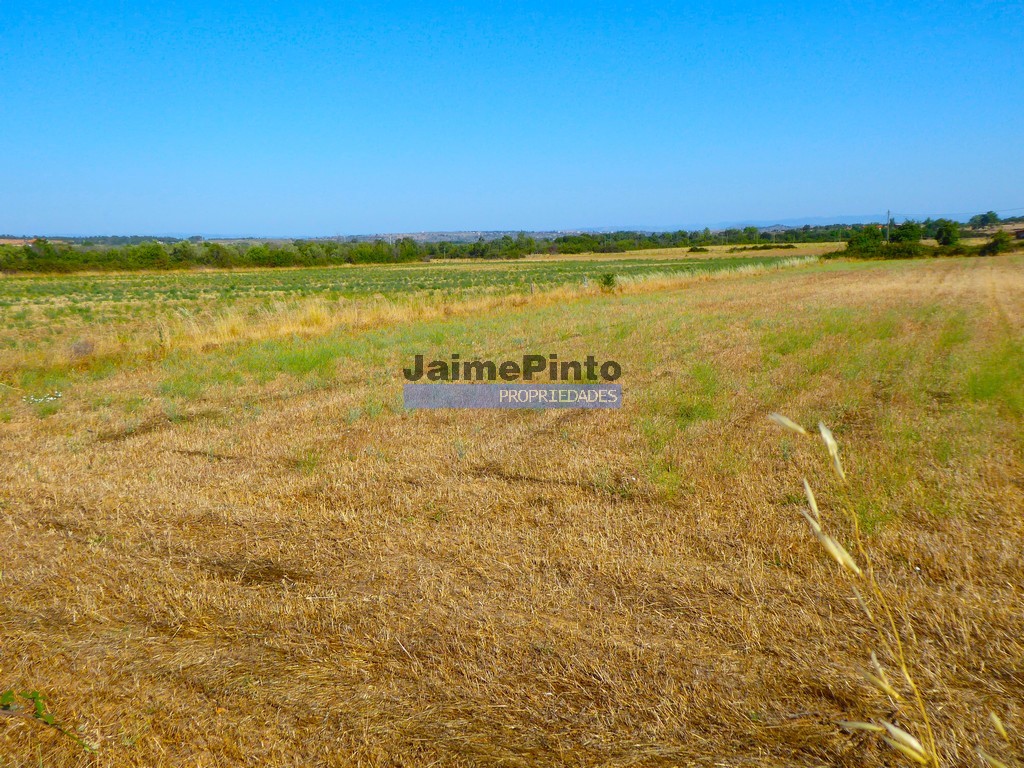 Farm