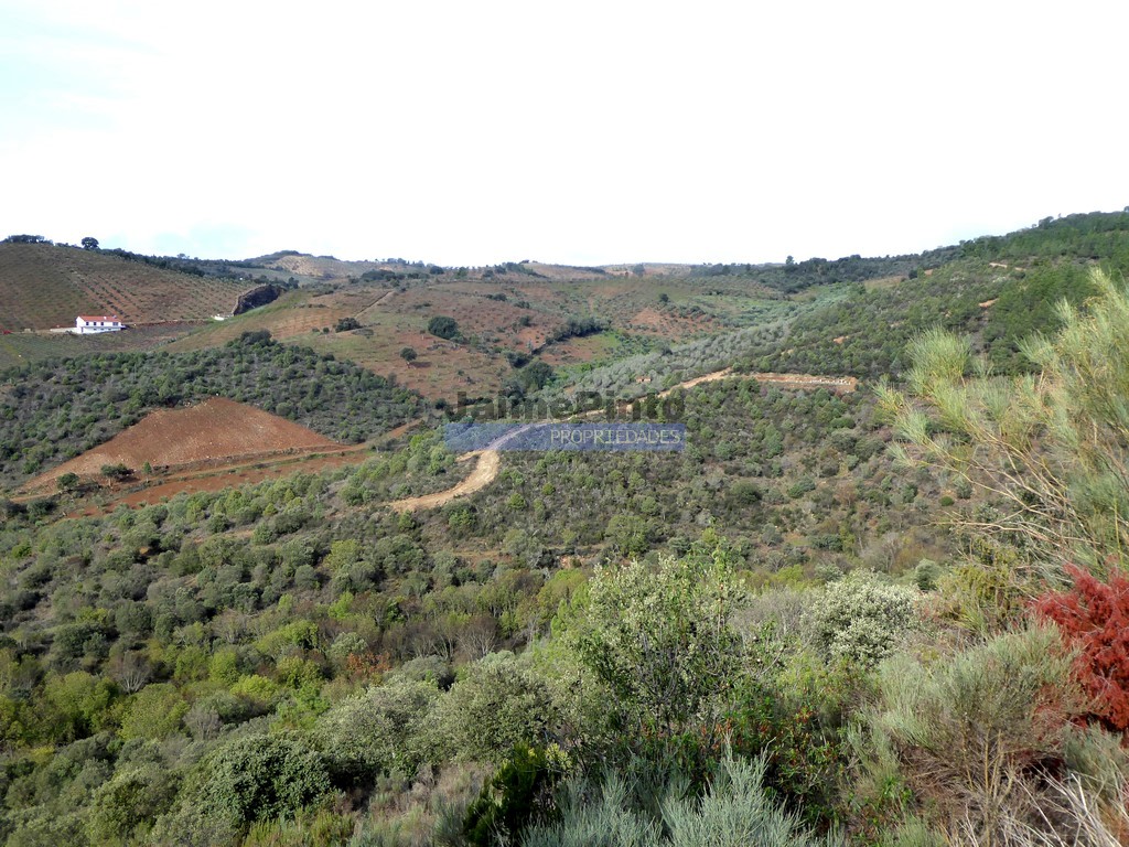 Agricultural land