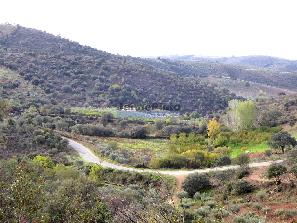 Agricultural land