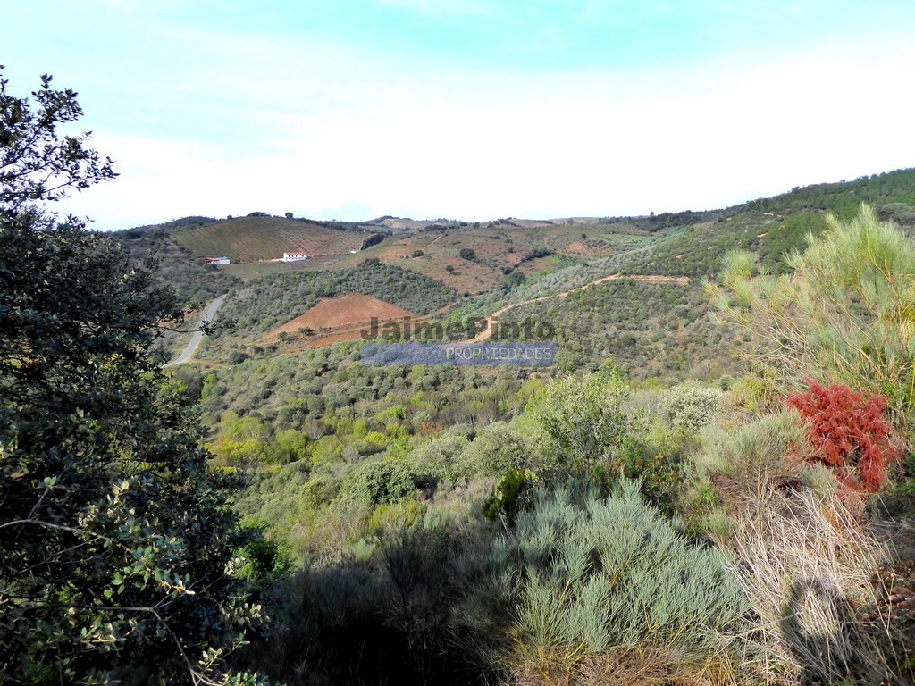 Agricultural land