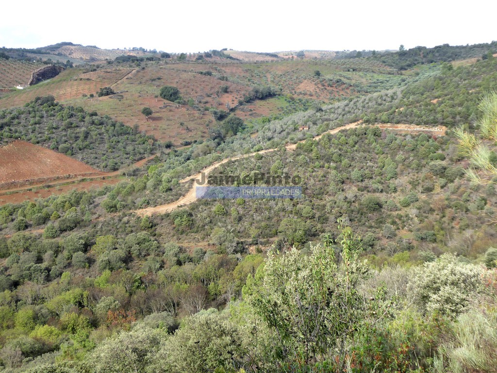 Agricultural land