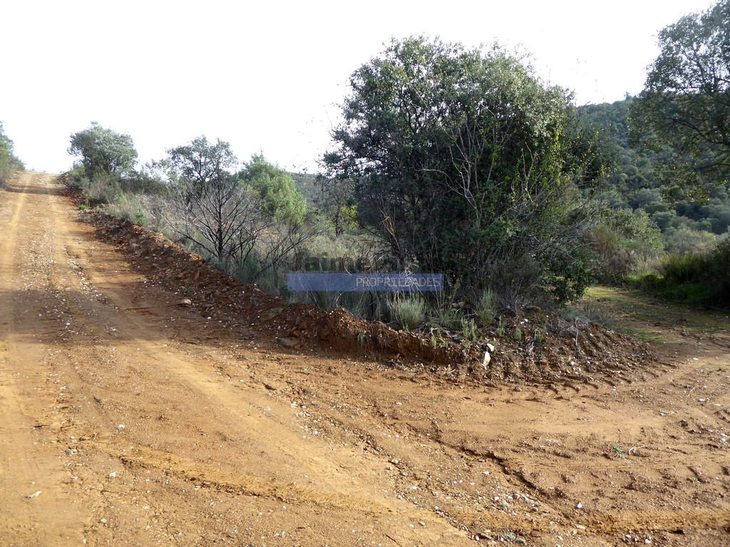 Agricultural land