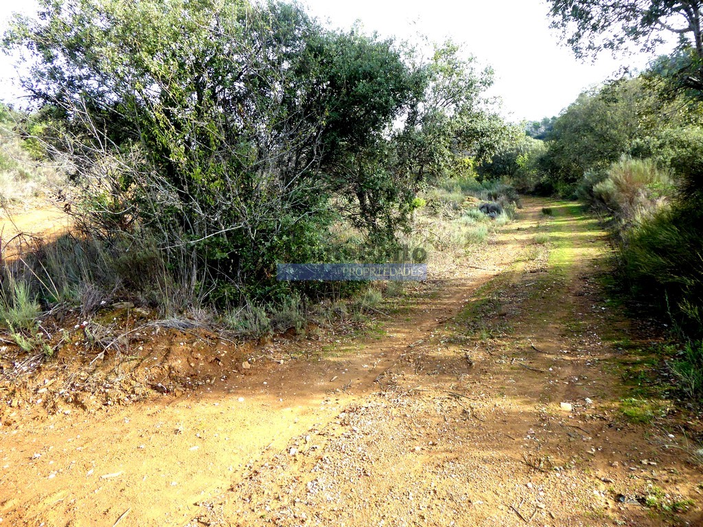 Agricultural land