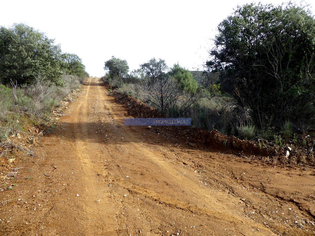 Agricultural land