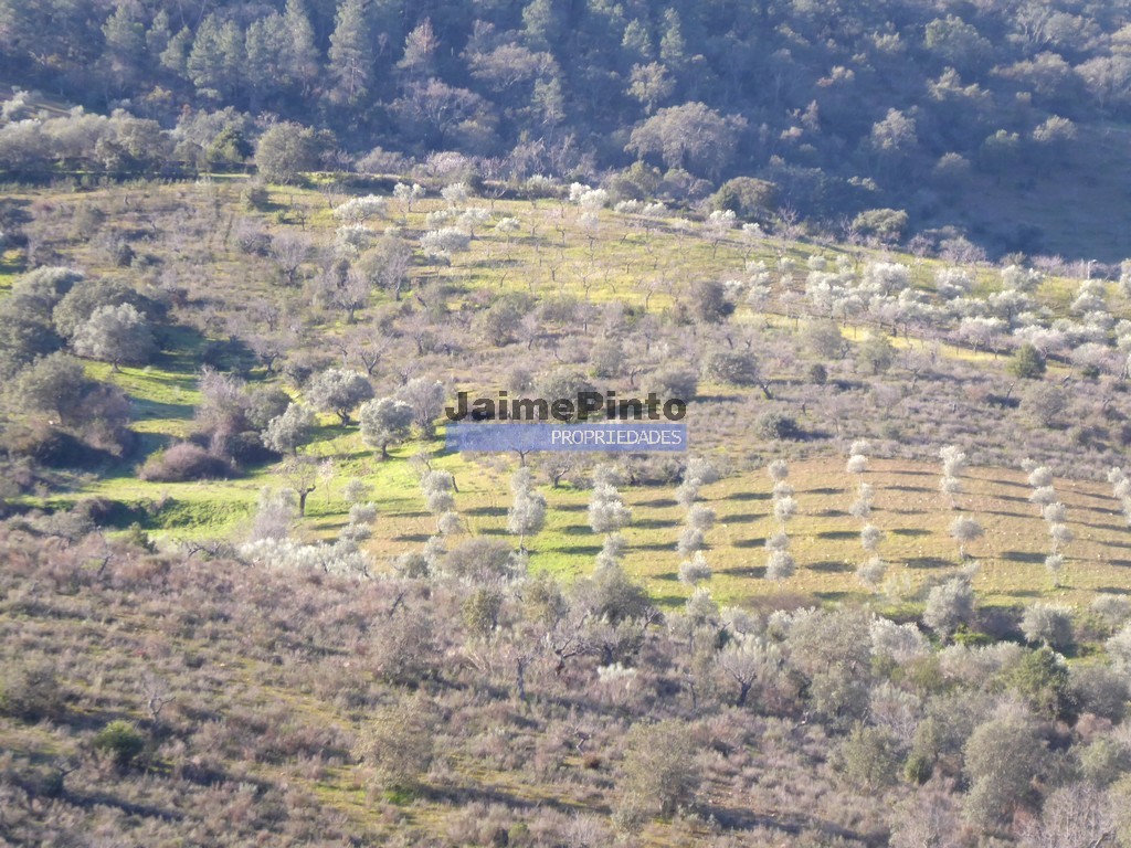 Farm