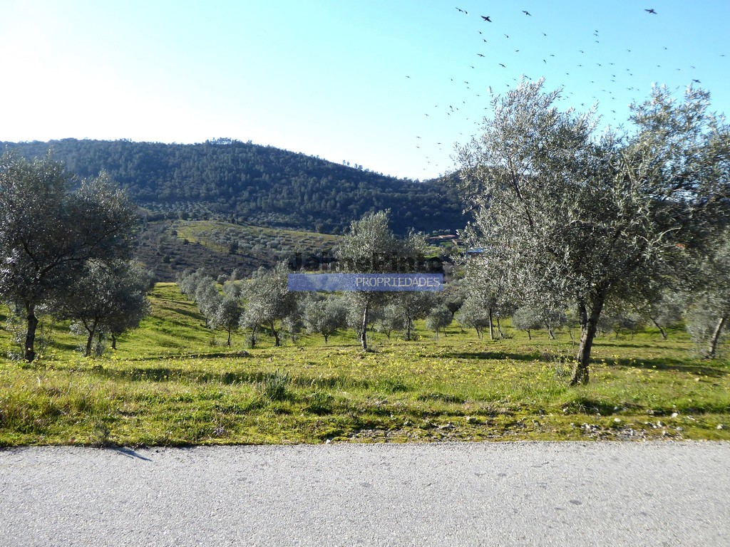 Farm