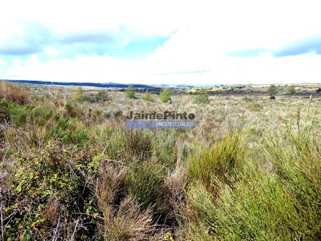 Farm