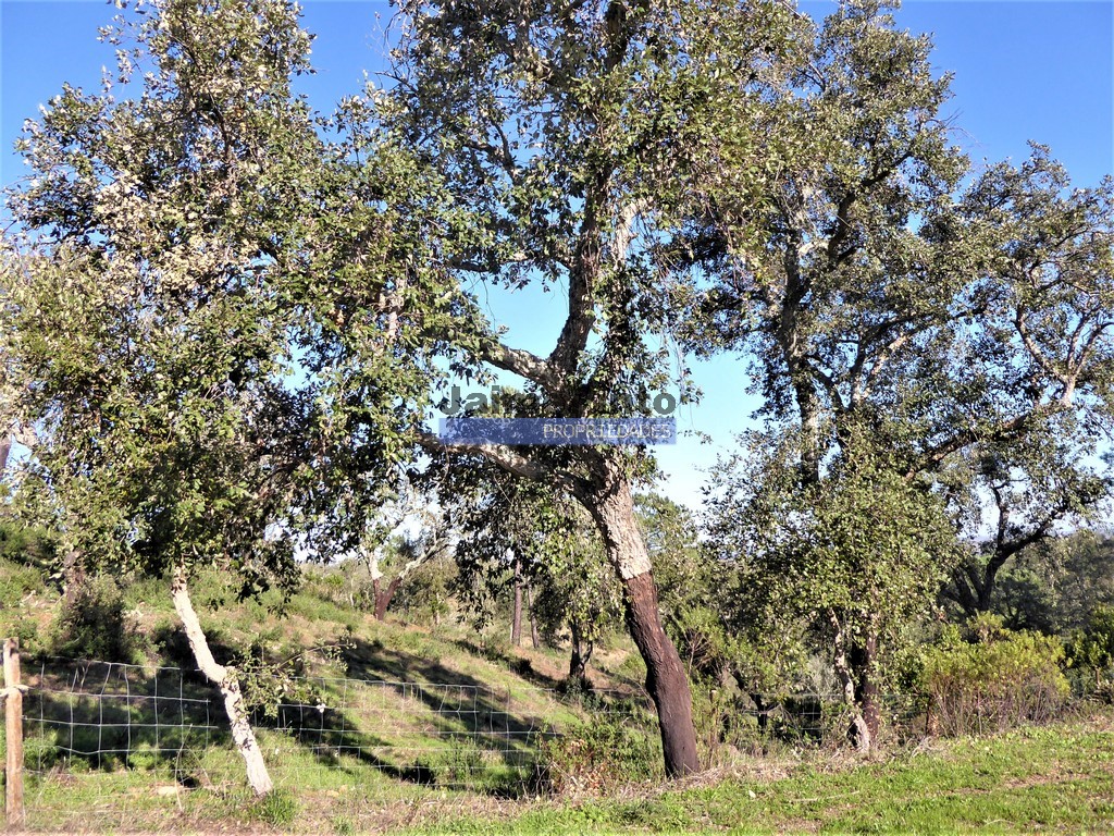 Agricultural land