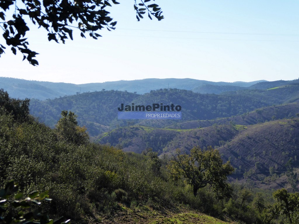 Agricultural land