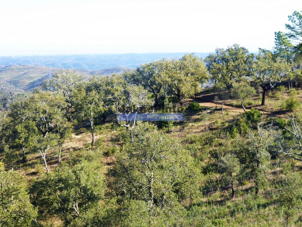 Agricultural land