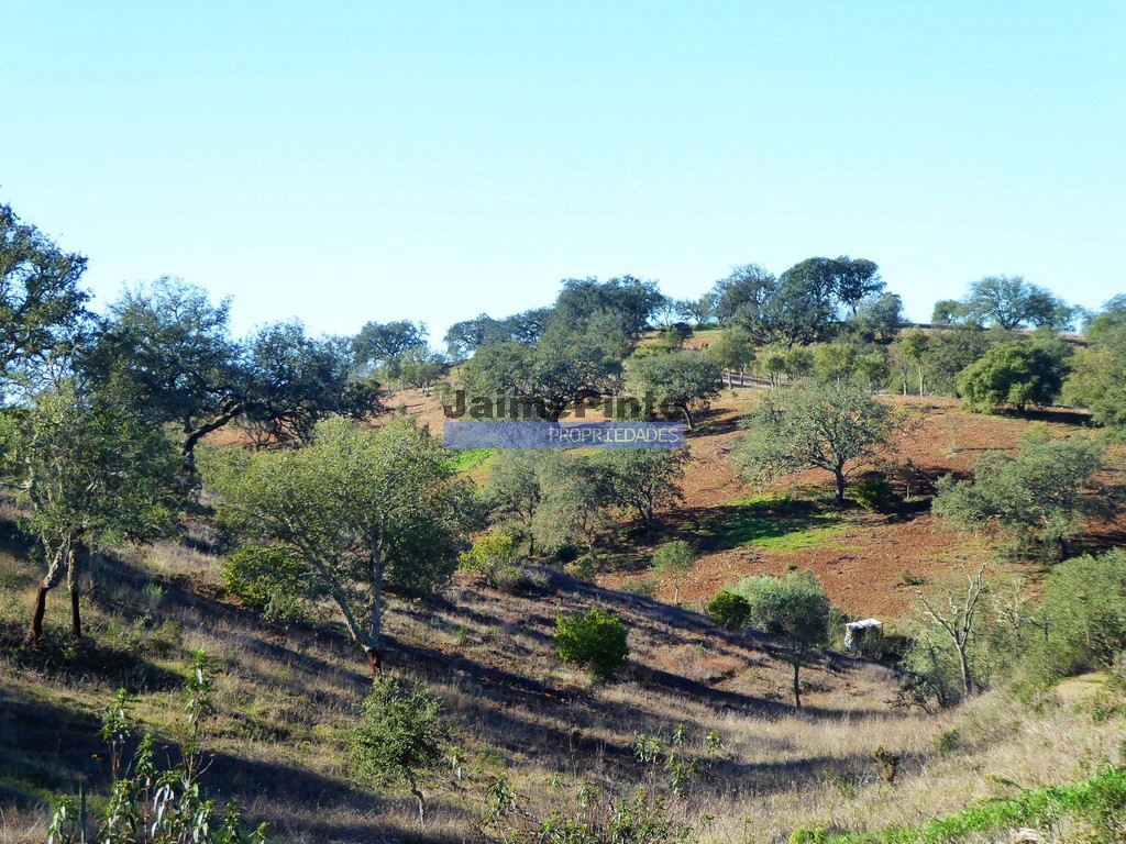Agricultural land