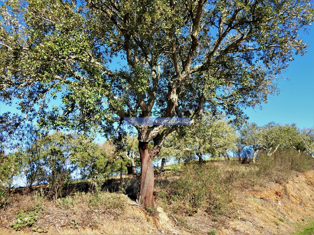 Agricultural land