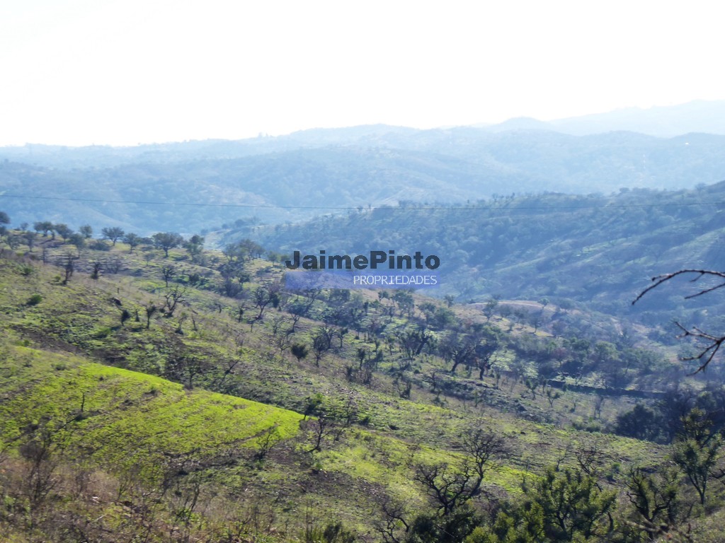 Agricultural land