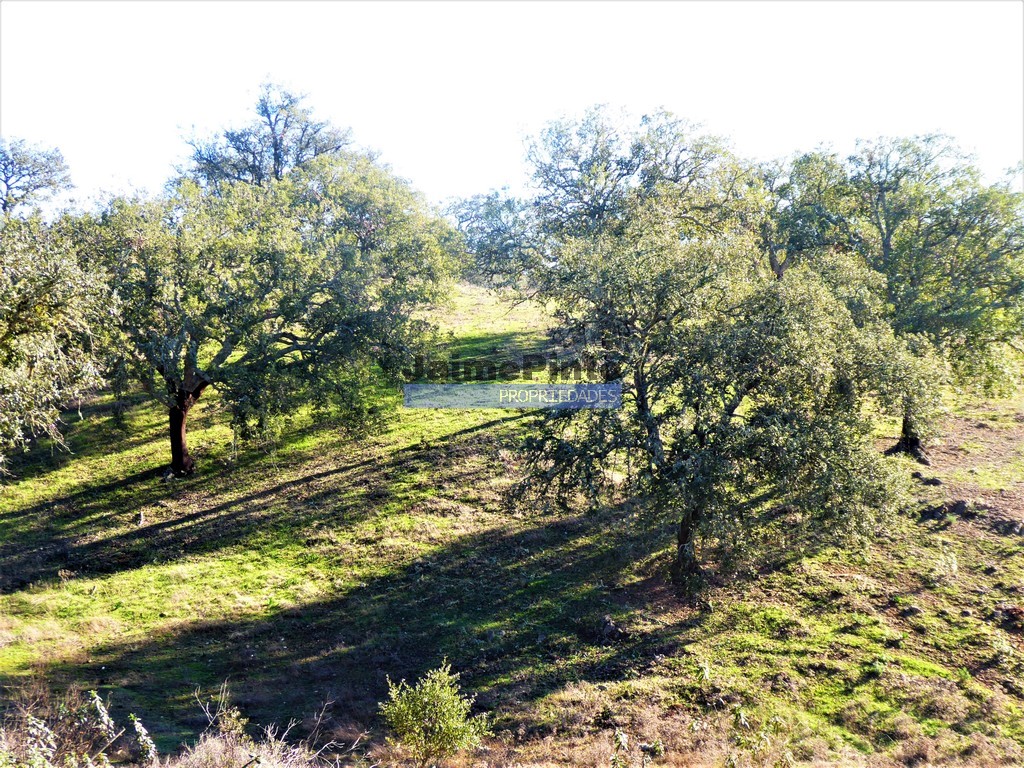Agricultural land