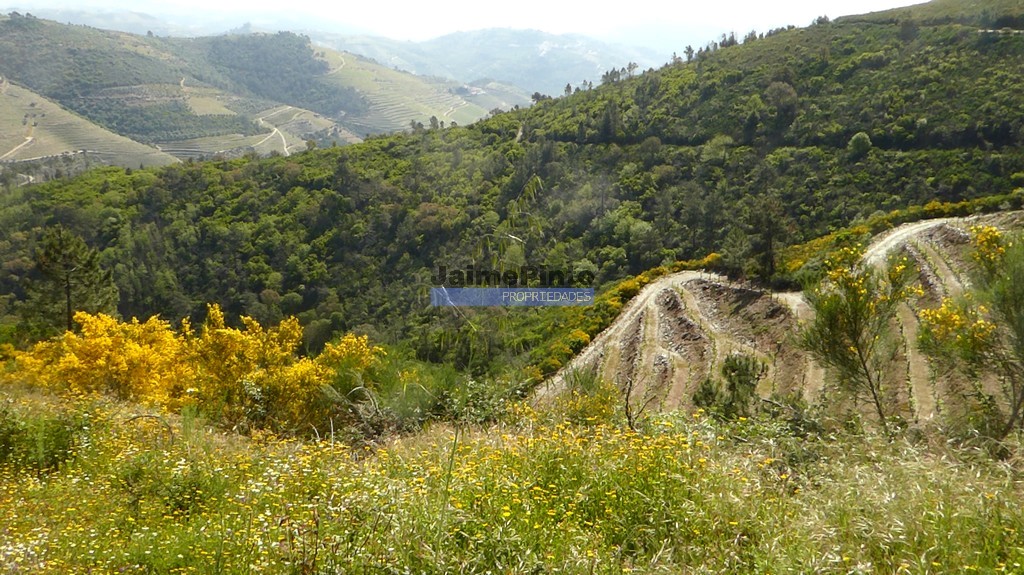 Agricultural land
